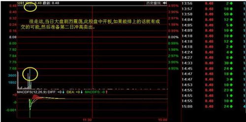 《十二分钟》巅峰坠落：揭秘高开低走，新视角探秘虎尾之痛