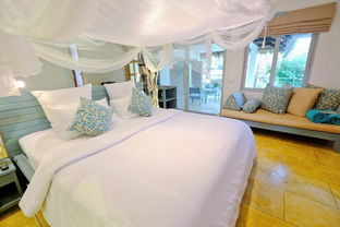 泳池惊现！女子酒店拉开窗帘竟遇游泳男子，隐私意外曝光