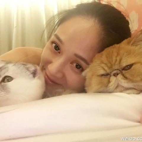 动物乐园自建攻略，8.5分好评！爱宠控必看！