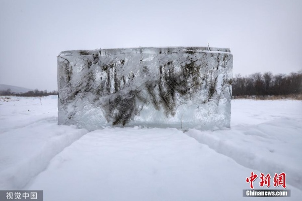 黑龙江现奇观：3米高“冰封鱼墙”变身“冰琥珀”，20余种江鱼定格千年