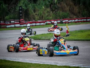 单手操控新体验，卡丁车巡回赛代价何在？