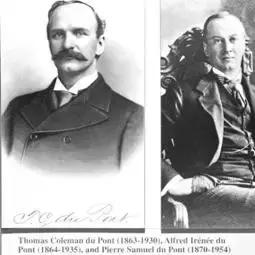 《手机帝国》评测升级：揭秘智能经营新篇章