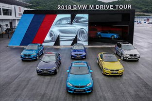 拉力激情再燃，不变赛道新升级**体验**