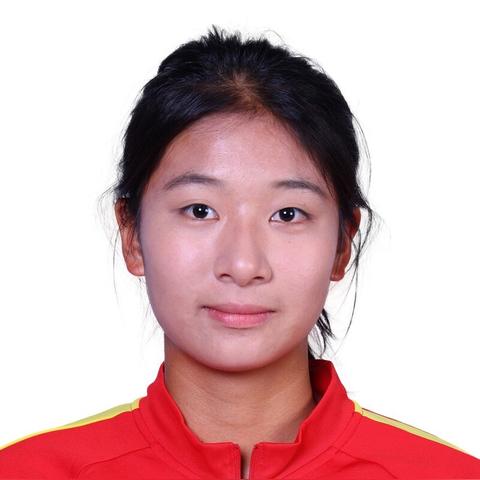 3DM《FIFA足球经理13》VS《足球经理13》深度解析：数据流与模拟流对决，全新视角揭秘！