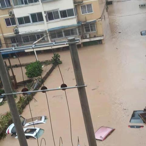 热心邻居勇救沉迷游戏玩家，创新救援诠释邻里情深