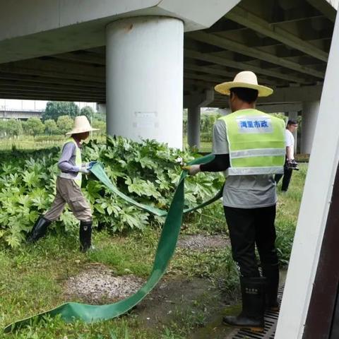 深夜小作文揭秘：百大UP主B站千万粉丝回忆何意味