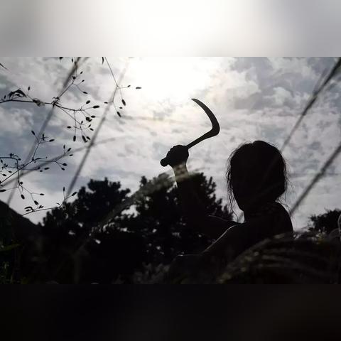 辐射76：背叛揭秘，异类新篇，靠谱升级