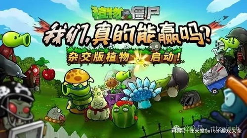 《植物大战僵尸杂交版》全网爆火，创新融合新体验！