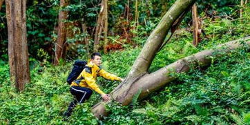 穿梭繁华都市，探寻混凝土丛林秘境之旅