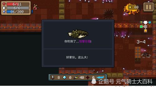 《鸣潮》龙鲡钓点攻略：独家揭秘铃铛蟹祭坛位置！