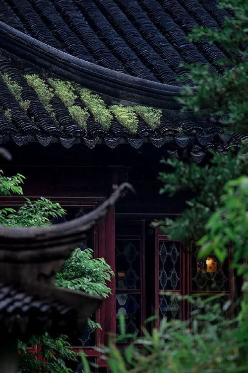 《鸣潮》青栎庭院下棋攻略：破解棋局新技巧揭秘