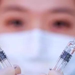 零下20度哈尔滨，外国游客短裤抗寒奇观揭秘！