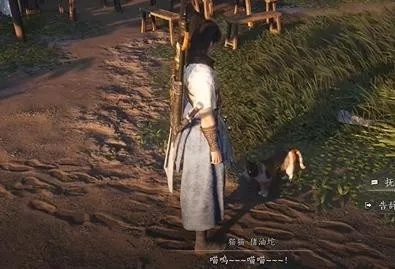 《燕云十六声》猫咪全收集攻略：不羡仙猫玩法深度解析