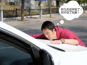 司机碰瓷百次获利34万，专挑营运车作案被捕，黑科技手段揭秘！