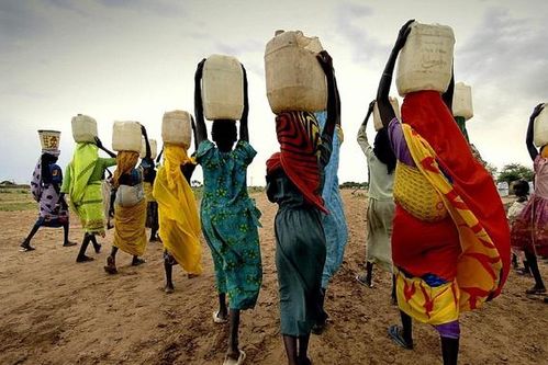 非洲邂逅津巴布韦高仿版甲亢哥，独缺翻跟头绝技