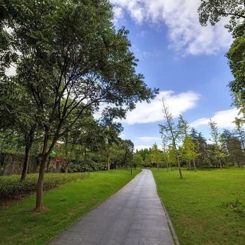 百游官网私藏宝库，找私服、选版本、挖攻略的老玩家专属捷径？