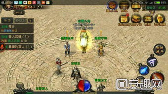 woool.com藏着多少传奇私服神级版本？老玩家私藏攻略全曝光