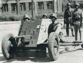 路怒失控！坦克500变道遭特斯拉怒怼，一招翻车惊心动魄