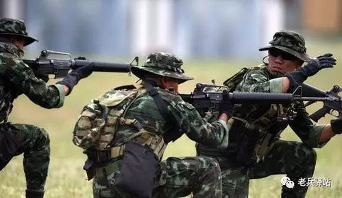 三角洲特种部队下载，私服从哪找？2026年高玩实测靠谱版本&攻略全曝光