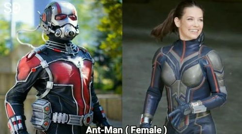 孩之宝高层新添原美任社长，库巴变身董事显新价值