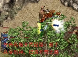 回归传奇，老骨灰私藏的开荒破局秘籍，真能7天速通新手期？