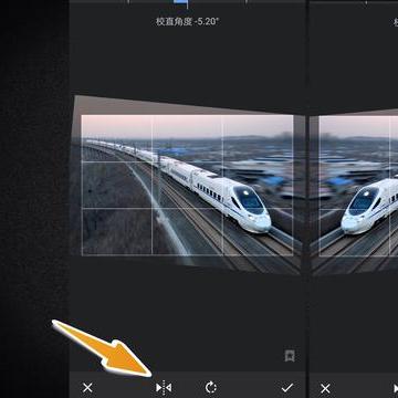 一万年首次揭秘：牛巧用工具的智慧传奇
