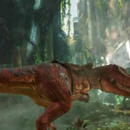 《真三DLC》畅享《小小岛屿》悠闲时光，解锁新境界