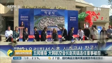 大韩航空回应机长自杀式飞行威胁：航司合并引不满风波