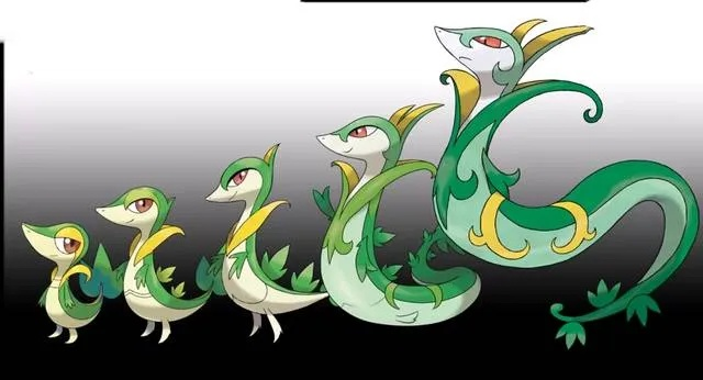 君主蛇真的是五代草系天花板？从开荒到63的实战逆袭路