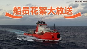 雷诺阿，八级法巡的隐藏神船？90%玩家都没摸透的输出密码