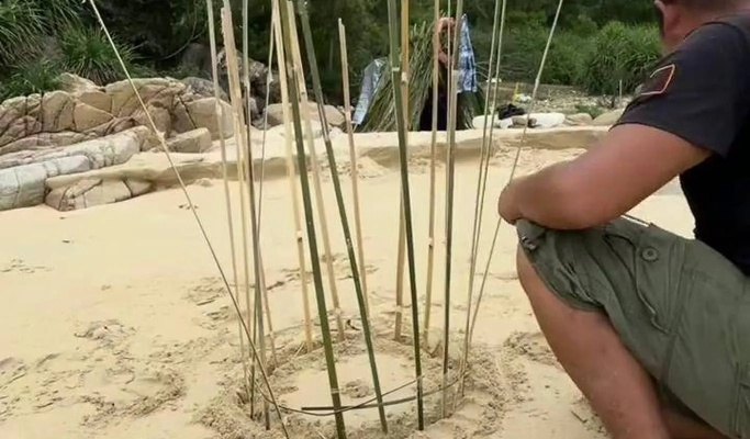 娃在沙滩造的竹签陷阱，竟成海岛生存神级战术？