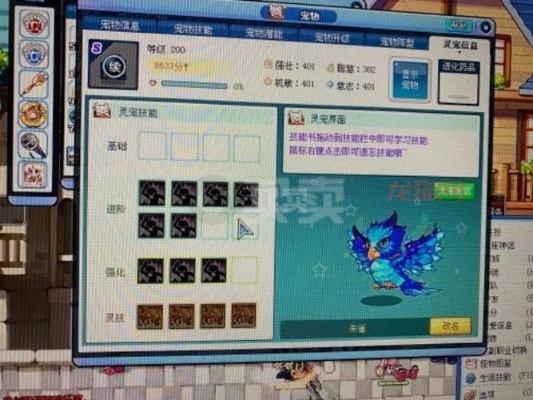 彩虹岛灵宠升级，卡级buff、隐藏投喂法，真能3天拉满战力？