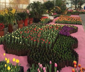 治愈植物学新体验，《神奇植物园》公测：休闲经营品类创新之旅