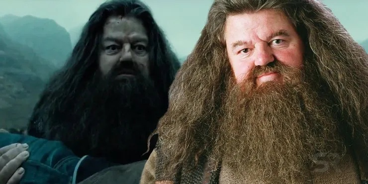 狂热祈祷助力新哈利波特海格演员诞生，揭秘演艺界新星崛起之路