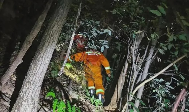 紧急求生！为何爬山遇荒野，烤肠难觅速速回程寻救？