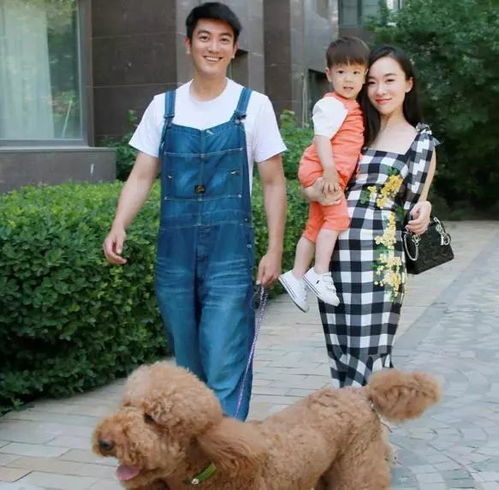 前任全家养尊处优，揭秘“听泉鉴宝送房”舔狗新境界