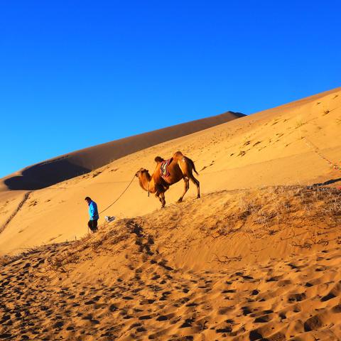 《红色沙漠》内容缝合引热议，玩家尝鲜体验咸淡滋味