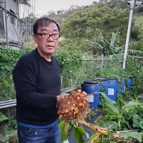 指数级爽快！《菜园无双》Demo“真·割草”体验，畅享无双乐趣！