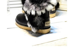 网红奇招：佛罗里达冻蜥毯子保暖新潮流