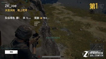 盲点战术射击新巅峰：PUBG俯视角吃鸡竞技盛宴
