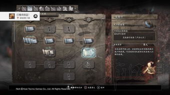 《仁王3》白金攻略全奖杯解锁秘籍，高效路线指引攻略解析