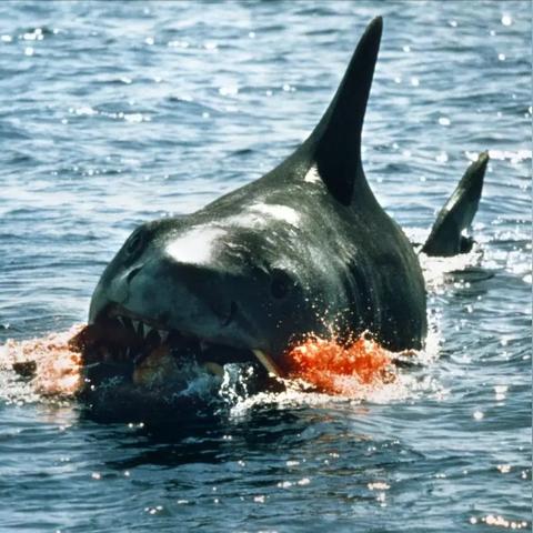 盘点900榜单，揭秘史上最佳游戏改编佳作