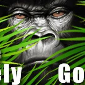 Steam抢先体验新升级，正式版发售日同步揭晓！