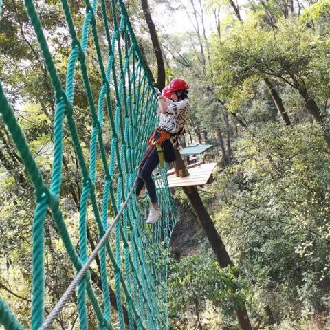 极限平衡挑战！《圆木骑士》Steam版双人合作新体验