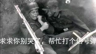 朋友玩总踩坑？2026独家，选服务器/版本/资源的3个实战门道