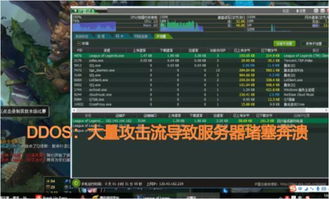 美女CS玩家都在哪扎堆？2026高人气服务器/版本/资源全指南