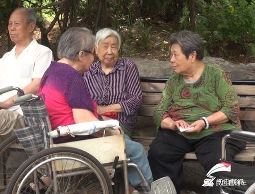 83岁母亲开车接饮酒后的李亚鹏，家有老宝在，心就有归处