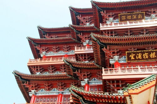 日本男子靠全文背滕王阁序免票进景区 称喜欢中国文化