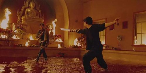 镖人，风起大漠豆瓣首批评价，动作获赞，文戏拉胯成玩家核心争议？