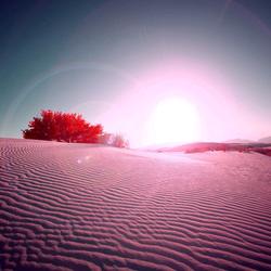 《红色沙漠》公关总监解释游戏为何难以推出试玩版